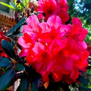 Make Me A Reasonable Offer—Buy with confidence.